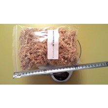 Etobur Bitkim Long Fiber Sphagnum Moss Turba Yosunu