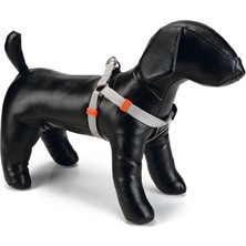 Anadolu Unı Köpek Göğüs Tasma Gri10Mm