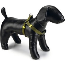 Anadolu Unı Köpek Göğüs Tasma Yeşil10Mm