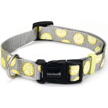 Anadolu Lemon Boyun Tasması Yeşil 10Mm