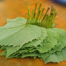 Şifa Çiçeği Bağ Yaprağı 1500 gr