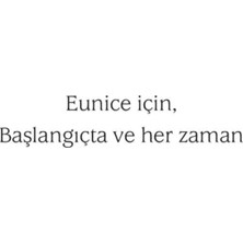 Septimus Heap: Kaçış Beşinci Kitap - Angie Sage
