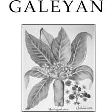 Galeyan - Katherine Howe