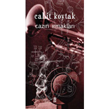 Cazın Irmakları - Cahit Koytak