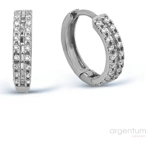 Argentum Concept Zirkon Taşlı Gümüş Halka Küpe