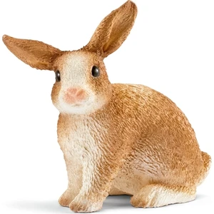 Ffa Conejo / Rabbıt