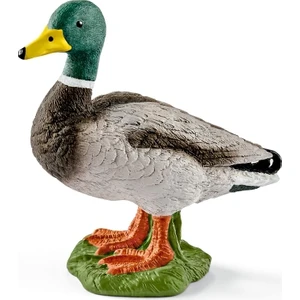 Imaginarium Ffa Pato / Drake