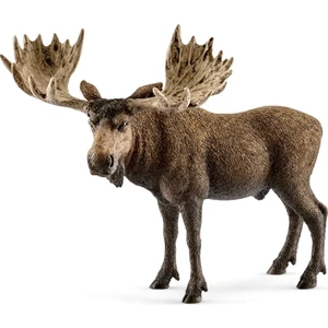 Fw Alce Macho / Moose Bull