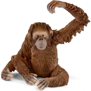 Hayvan Maketi - Fw Orangután Hembra / Orangutang Female