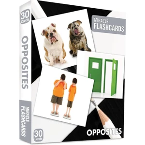 MK Publications Miracle Flashcards: Oppposites Box 30 Cards