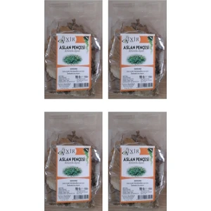 Aslan Pençesi Testere Dişli 4 x 25 Gr