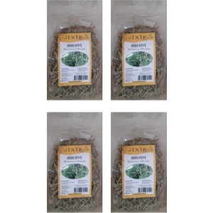 Biberiye Çayı 4 x 60 Gr