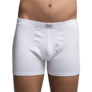 Boxer