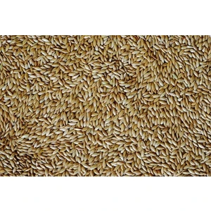 Kanarya Kuş Yemi 5Kg