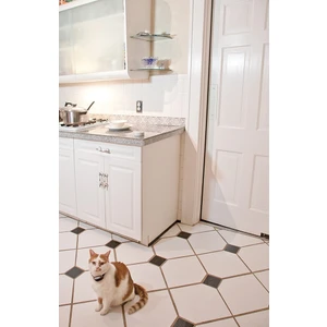 Petsafe Pawz Away® Mini Pati Engelleyici