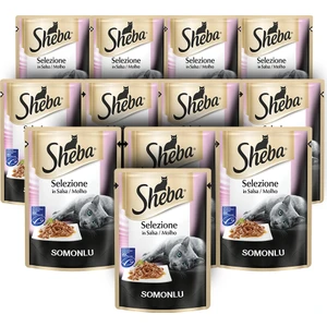 Pouch Somonlu Yaş Kedi Maması 85 Gr x 12 Adet