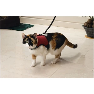 Anadolu Comfort Kedi Göğüs Tasma Seti