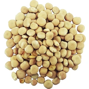 Yelken Acı Bakla (Termiye) 500 gr