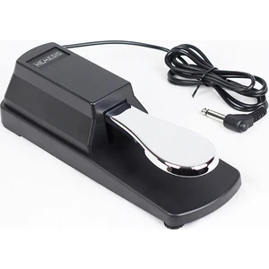 Sp-1 Sustain Pedal