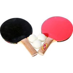 BS2110 Masa Tenisi Raket Set