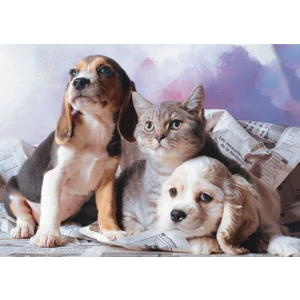 1000 Parça Kedi Köpek Kardeşliği Yapboz