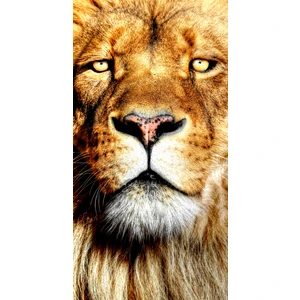 Yorkadesign Plaj Havlusu Aslan Desenli