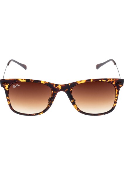 Rb4210 894/13 50.22 3N Erkek Güneş Gözlüğü