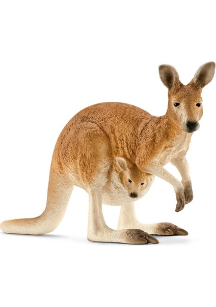 Fw Canguro / Kangaroo