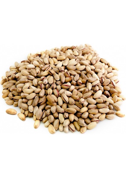 Antep Fıstığı Toz 50gr fiyatları