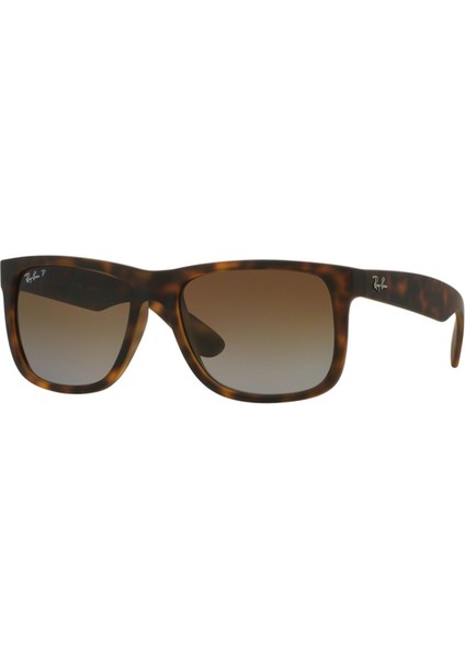 Rb4165 865/T5 54 Polarize Unisex Güneş Gözlüğü