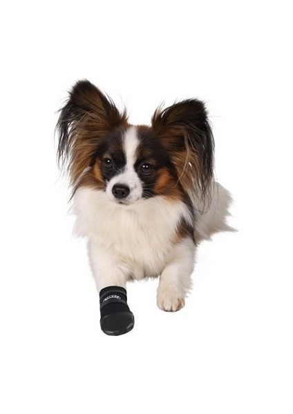 Köpek Patiği Neopren 2 Adet Small