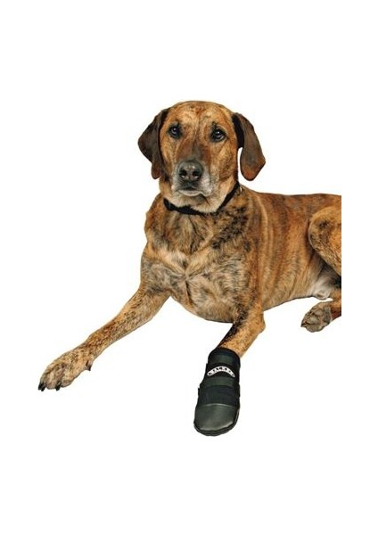 Köpek Patiği Neopren 2 Adet Small