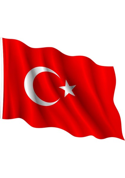 Türk Bayrağı 400-600