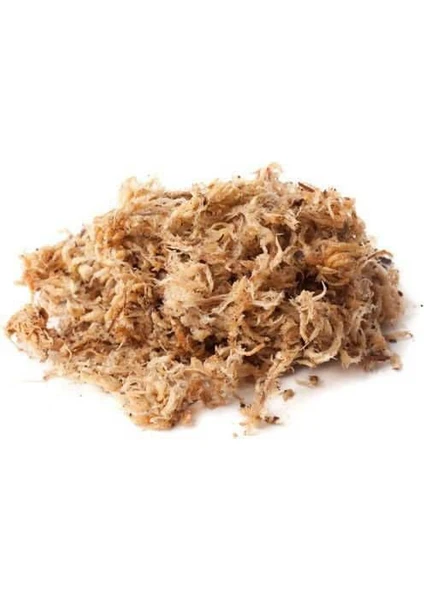 Etobur Bitkim Long Fiber Sphagnum Moss Turba Yosunu