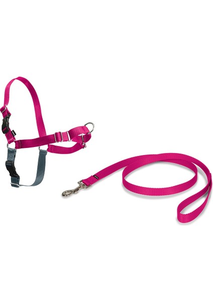 Easy Walk™ Harness Pembe Köpek Göğüs Tasması - Extra Small ( 30 - 40 cm)