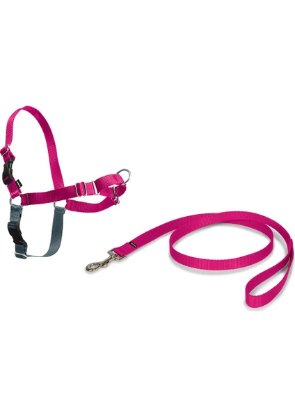 Easy Walk™ Harness Pembe Köpek Göğüs Tasması - Extra Small ( 30 - 40 cm)