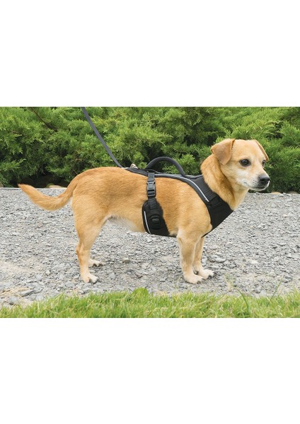 Easy Sport™ Harness – Siyah Köpek Tasması - Extra Small ( 38 - 56 cm)