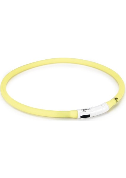 Anadolu Işıklı Köpek Boy.Tasması Sarı10Mm