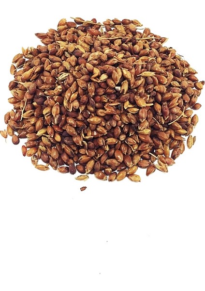 Yelken Süpürge Tohumu 250 gr