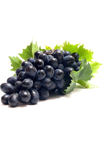 Yelken Üzüm Çekirdeği 500 gr