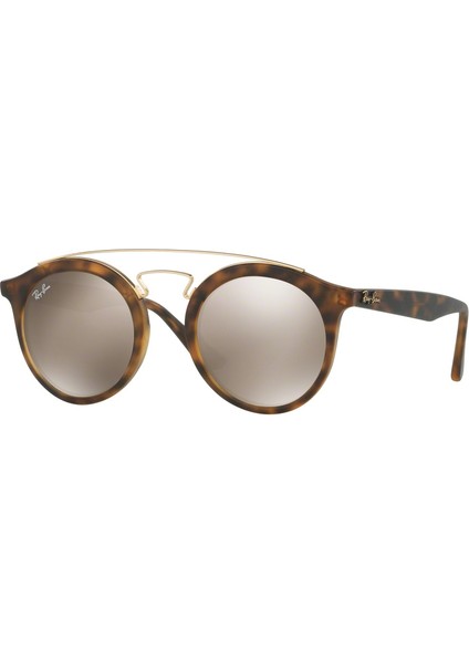 RB4256 Gatsby1 6092/5A 49 Unisex Güneş Gözlüğü