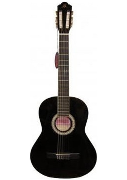LC3900BK Klasik Gitar