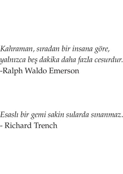 Tam Zamanında - Ted Bell