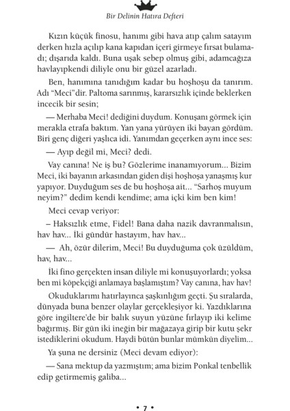 Bir Delinin Hatıra Defteri - Nikolay Vasilyeviç Gogol