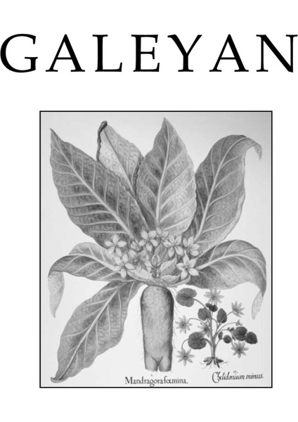 Galeyan - Katherine Howe