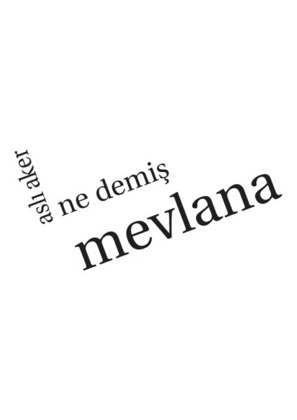 Ne Demiş Mevlana