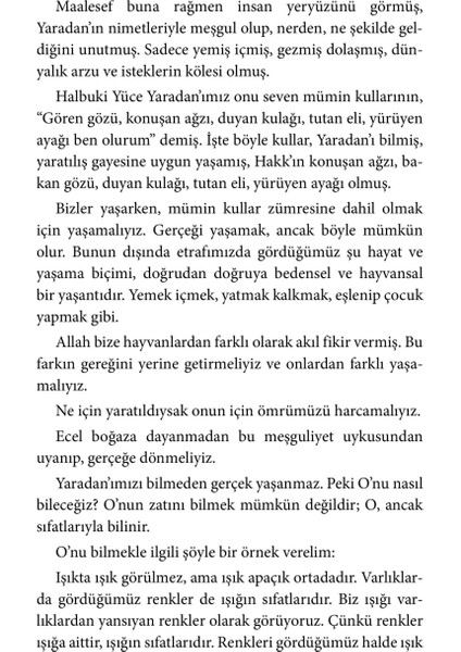 Akıbet-Faruk Dilaver