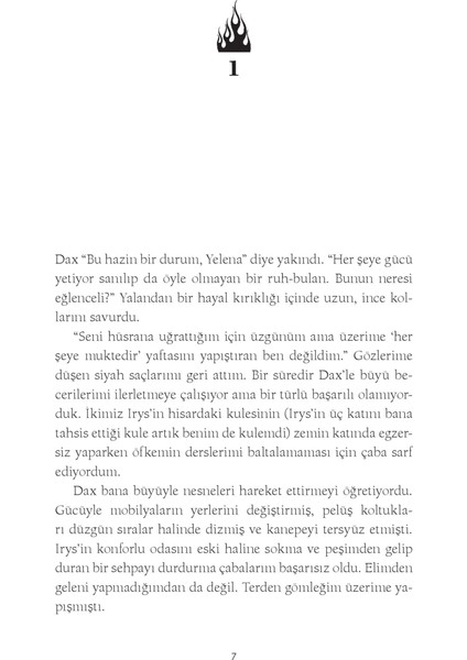 Ateş Ustası - Maria V. Snyder