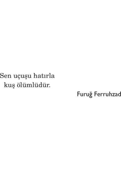 Beni Çocukluğumdan Öp - Günhan Kuşkanat