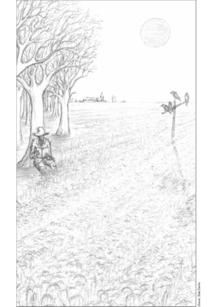 Özgürlük Tuzağı-Osman Aysu fırsatları